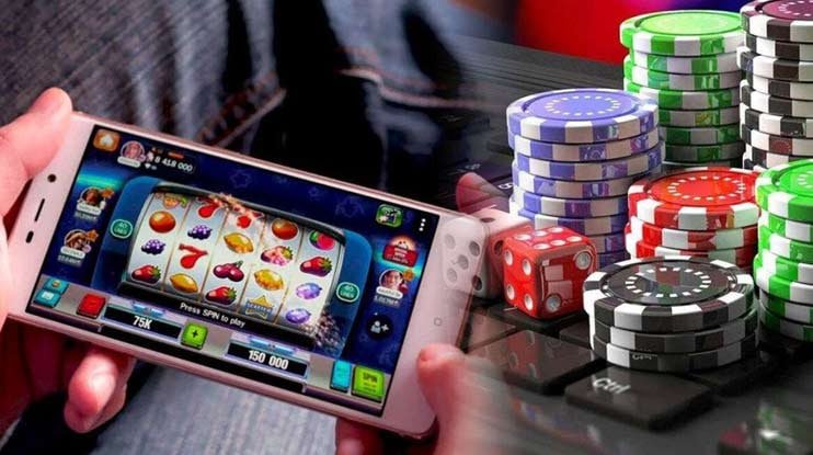 dbaji sports betting path linked with guides and live entertainment